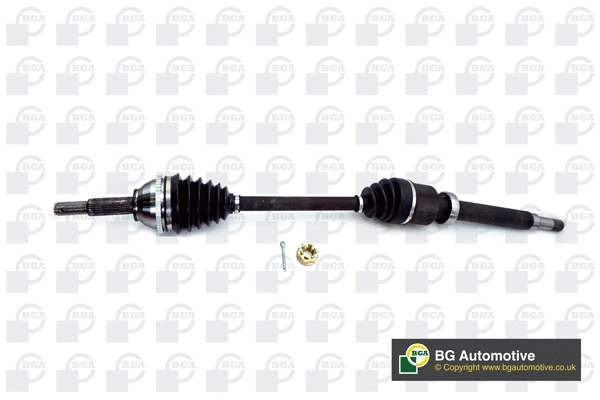 DS2202R BGA Піввісь