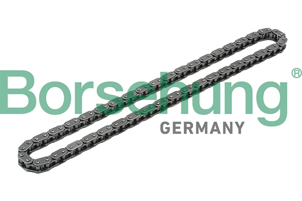 B1C012 Borsehung К-кт ланцюга привідного грм