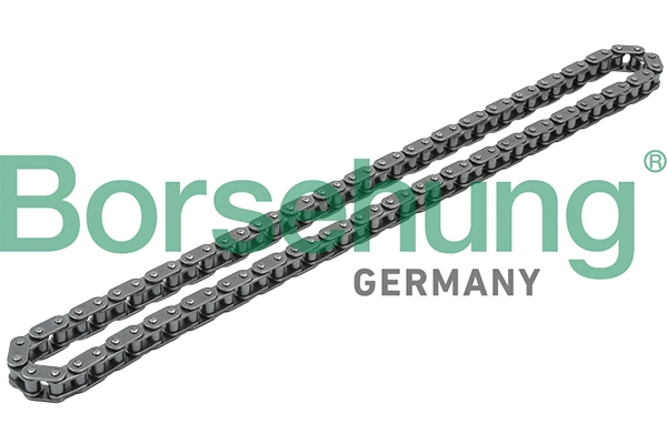 B1C010 Borsehung К-кт ланцюга привідного грм