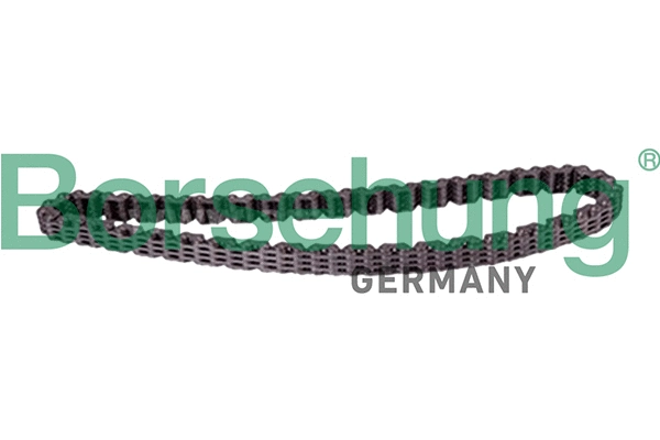 B12184 Borsehung Цепь масляного насоса