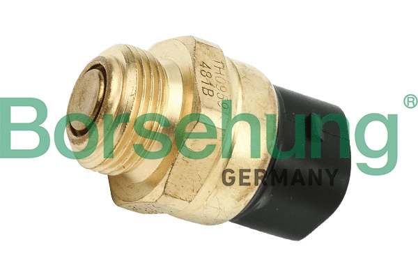 B13130 Borsehung Термовимикач (ОЕ)