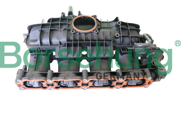 B10664 Borsehung Впускна труба, подача повітря