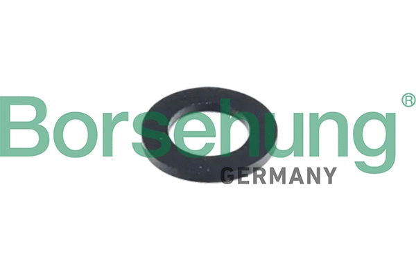 B10631 Borsehung Ущільнювач