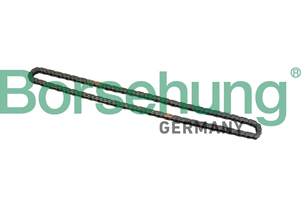 B1C025 Borsehung К-кт ланцюга привідного грм