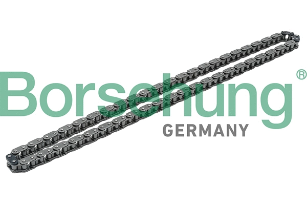 B1C009 Borsehung К-кт ланцюга привідного грм