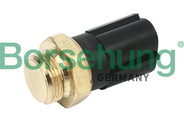 B13129 Borsehung Датчик температури