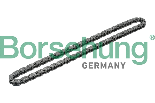 B1C020 Borsehung Ланцюг грм