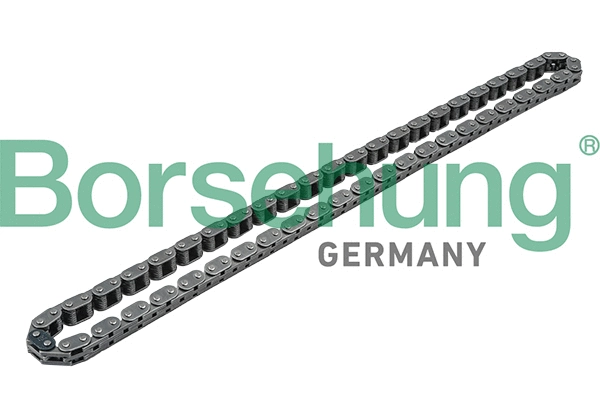 B1C011 Borsehung Ланцюг приводу (OE)