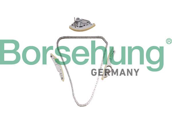B10246 Borsehung Комплект ланцюга ГРМ