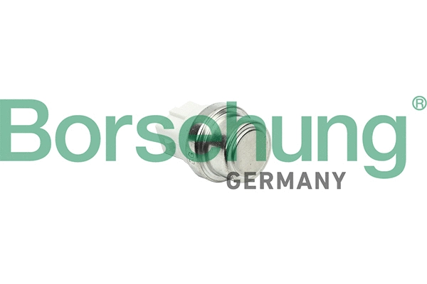 B18288 Borsehung Перемикач температури, охолоджуючої рідини