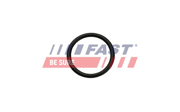 FT49926 FAST Прокладка теплообмінника Fiat Ducato (06-) (FT49926) Fast