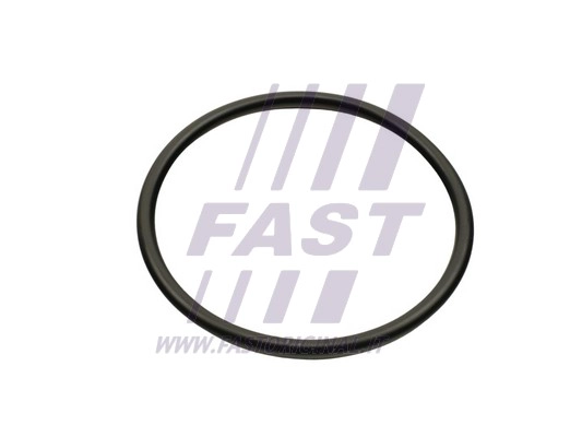 FT49460 FAST Прокладка впускного коллектора
