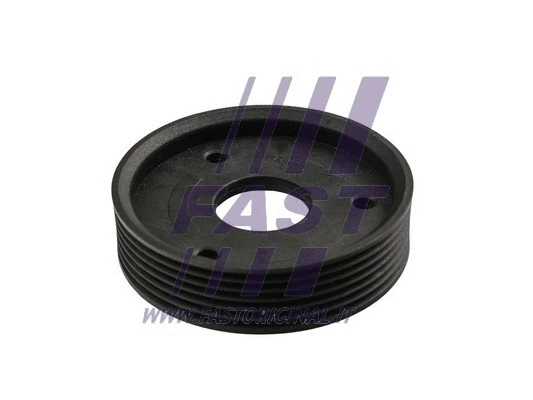 FT45594 FAST Шкив гидроусилителя руля