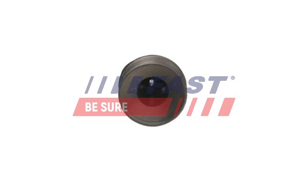 FT55811 FAST КРІПЛЕННЯ РАДІАТОРА CITROEN BERLINGO 08>