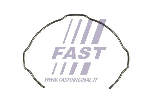 FT62004 FAST Пружина синхронізатора  Fiat Ducato (06-, 14-) (FT62004) Fast