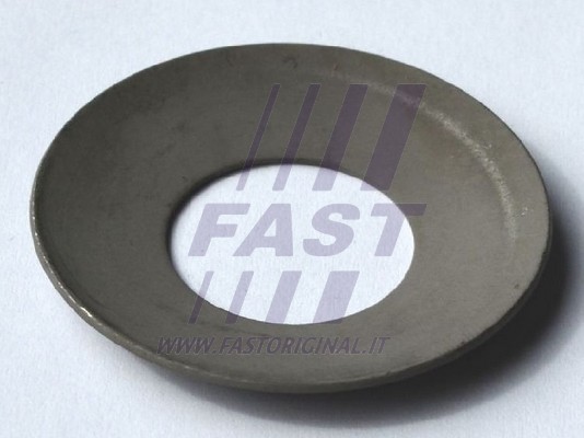 FT62440 FAST ПРОКЛАДКА МОСТА IVECO DAILY 06> САТЕЛІТ