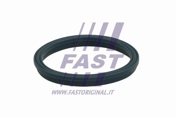 FT49407 FAST Прокладка впускного коллектора