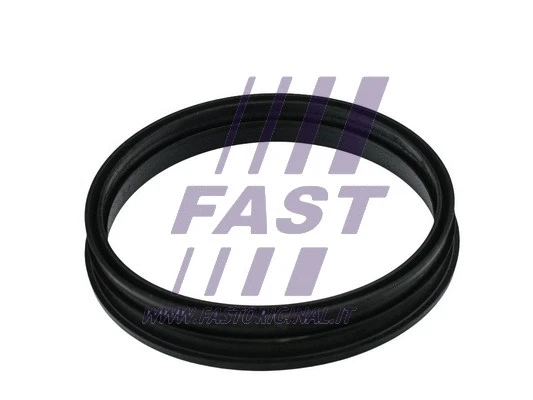 FT48505 FAST ПРОКЛАДКА ПАЛИВОГО НАСОСУ FORD TRANSIT CONNECT 13> БАК ПАЛИВНИЙ