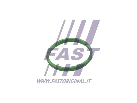 FT49855 FAST УЩІЛЬНЮВАЧ RENAULT KANGOO II 08> ПАТРУБОК ІНТЕРКУЛЕРА