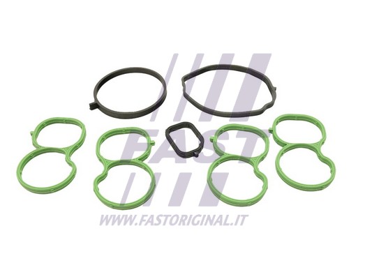 FT49455 FAST Прокладка впускного коллектора