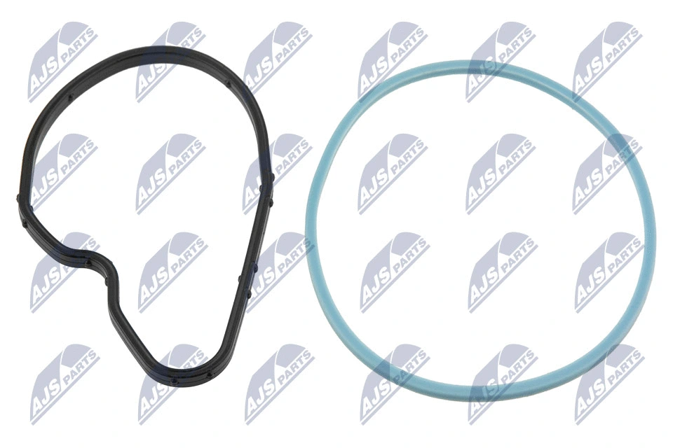 PVPPL000 NTY Прокладка насоса