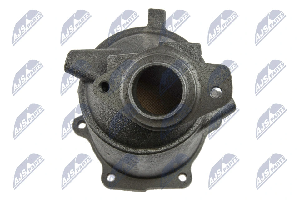 KATNS000 NTY Катализатор