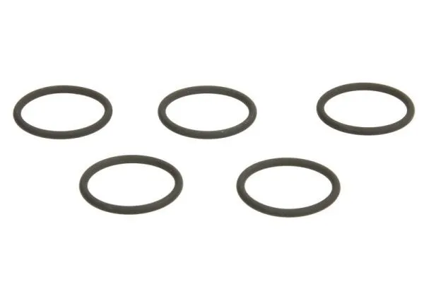 ENT250433 ENGITECH О-подібне кільце DELPHI ціна за 5 шт (зовнішній діаметр 16,3мм, товщина 1,6мм) SEAT IBIZA IV  SKODA FABIA II  VW POLO V 1.2D 10.09-05.15
