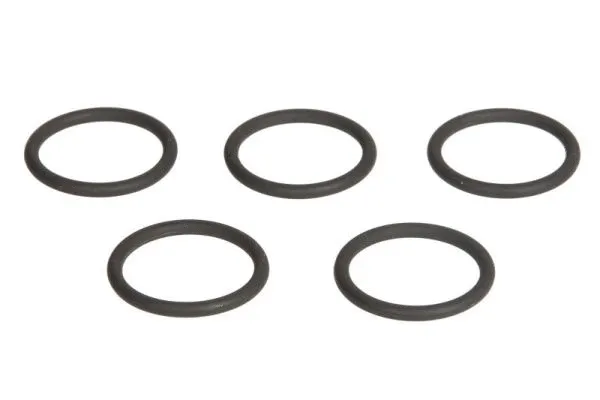 ENT250244 ENGITECH Кільце форсунки (ціна за 5 шт  , внутрішній діаметр 17мм, зовнішній діаметр 21мм, товщина 2мм) AUDI 100 C3, 100 C4, 80 B3, 80 B4, A6 C4 1.6-2.3 06.86-01.96