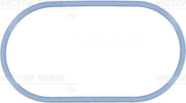 713810200 VICTOR REINZ Прокладка впускного коллектора