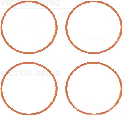 117763901 VICTOR REINZ Прокладка впускного коллектора